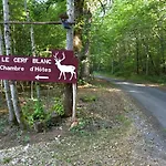 Au Cerf Blanc Parentale Bed & Breakfast