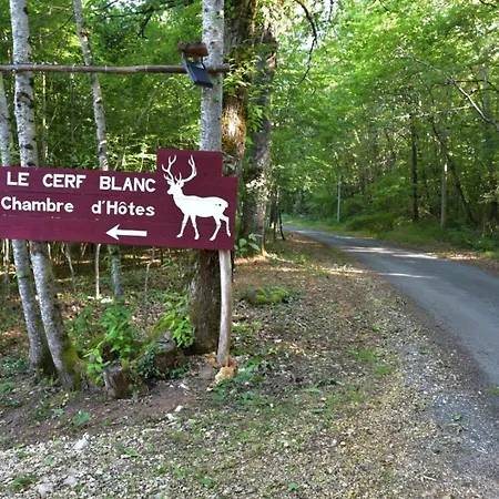 Au Cerf Blanc Parentale Bed & Breakfast
