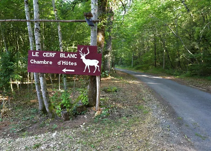 Au Cerf Blanc Parentale Bed and breakfast
